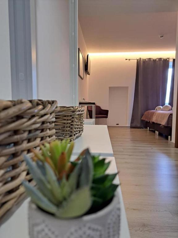 Olhos D' Agua Hotell Alcanena Exteriör bild